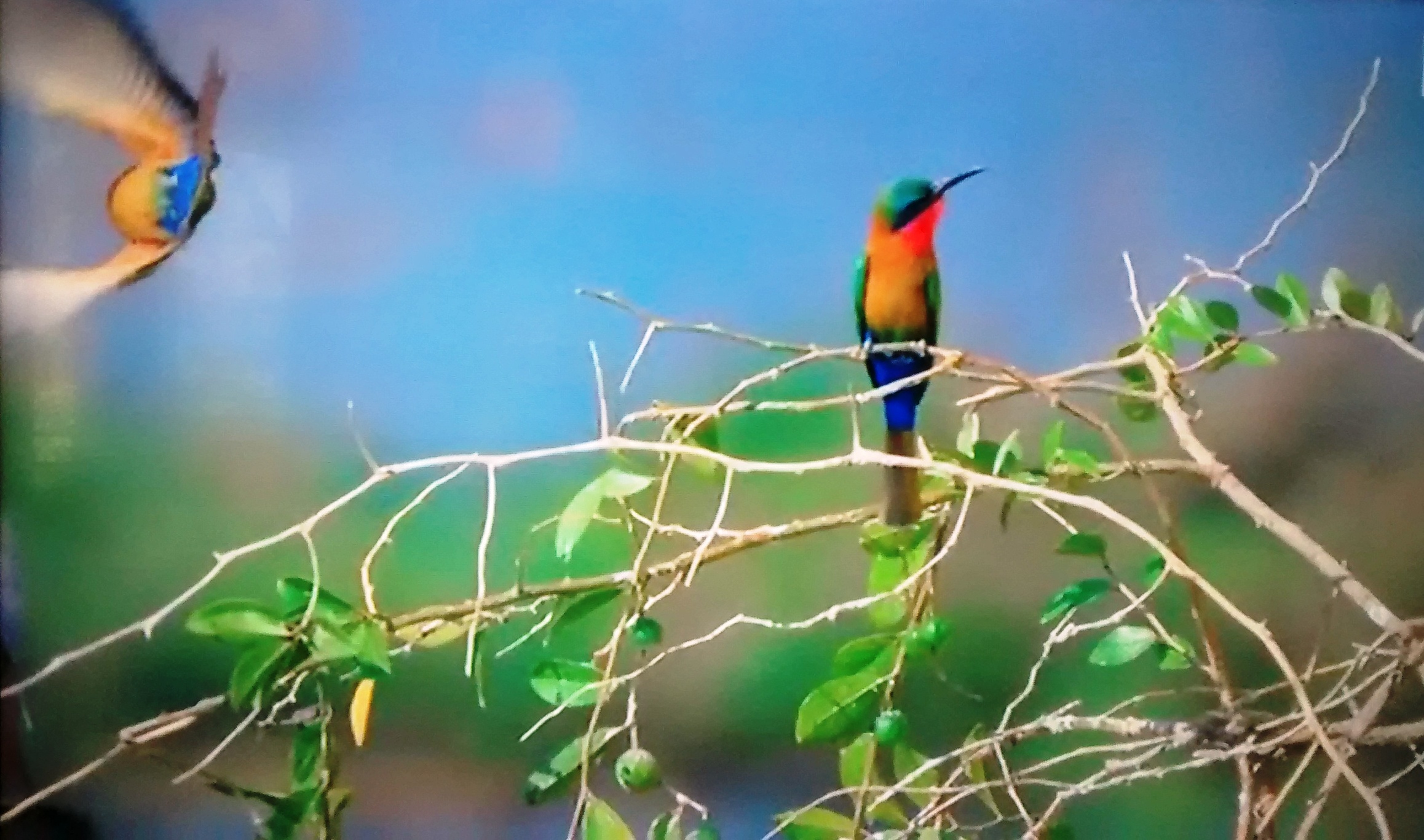 1 _20160816_153208581