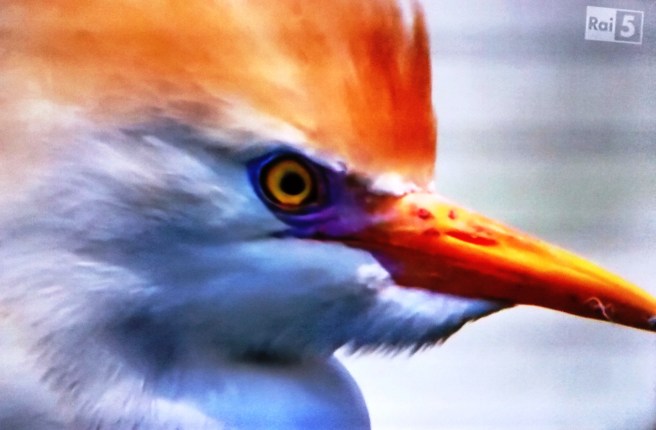 3_20160816_153312633_HDR