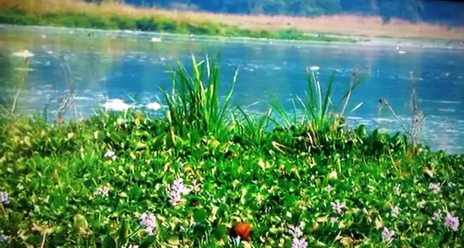 5_20160816_153359389