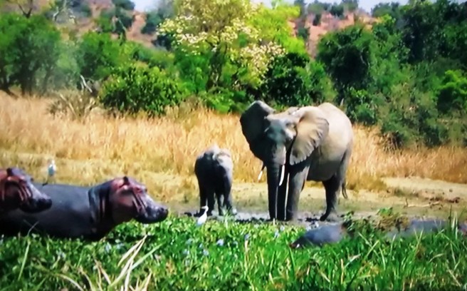 6 20160816_153408888