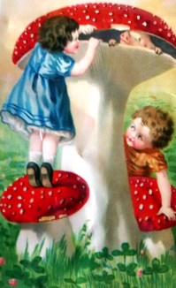 IMG_20170505_091348402