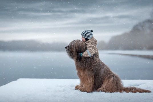 976eeeb859bf937027a8323fd8538a04