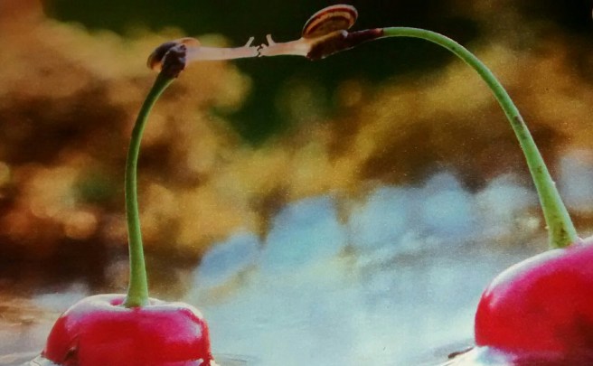 IMG_20140410_172658236~3~2