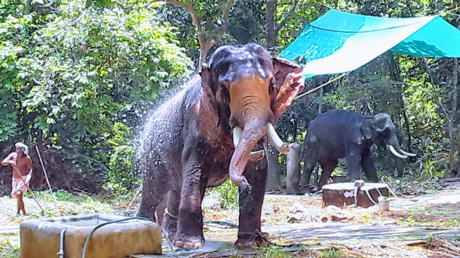 20180420_083753-EFFECTS